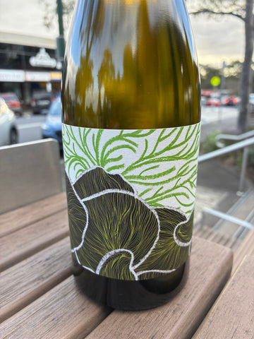 Future Perfect Chardonnay 2024