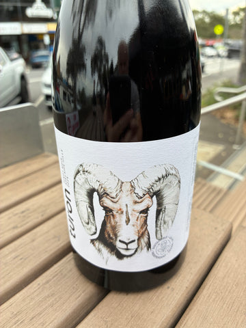 Turon Adelaide Hills Pinot Noir 2024